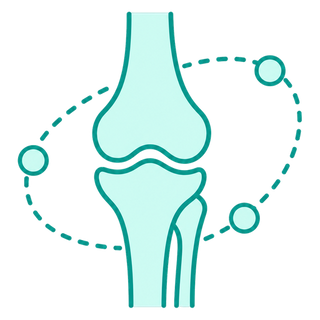 Knee joint icon with a dotted path marking the phases of recovery after knee replacement